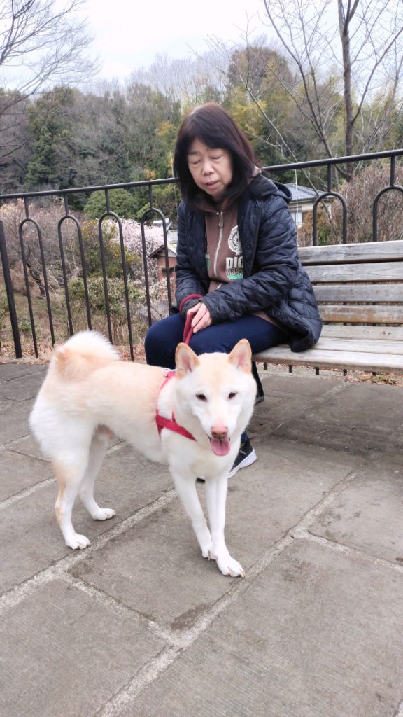 この停留所で降りると