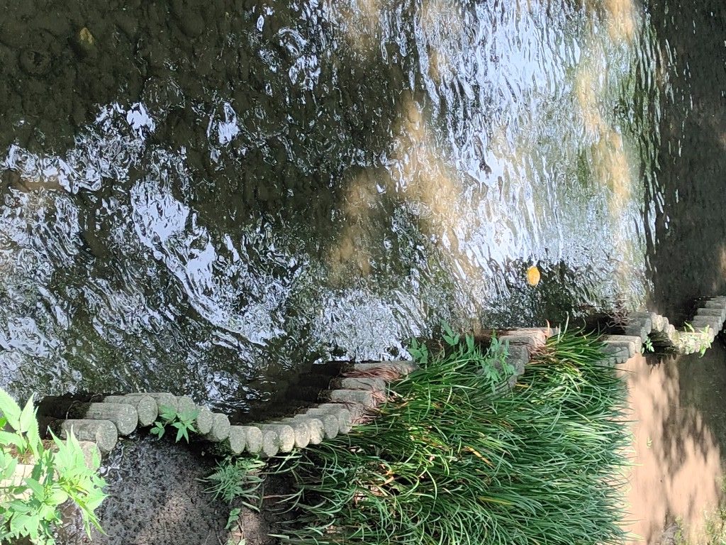 小川へ洗濯に出かけたとき