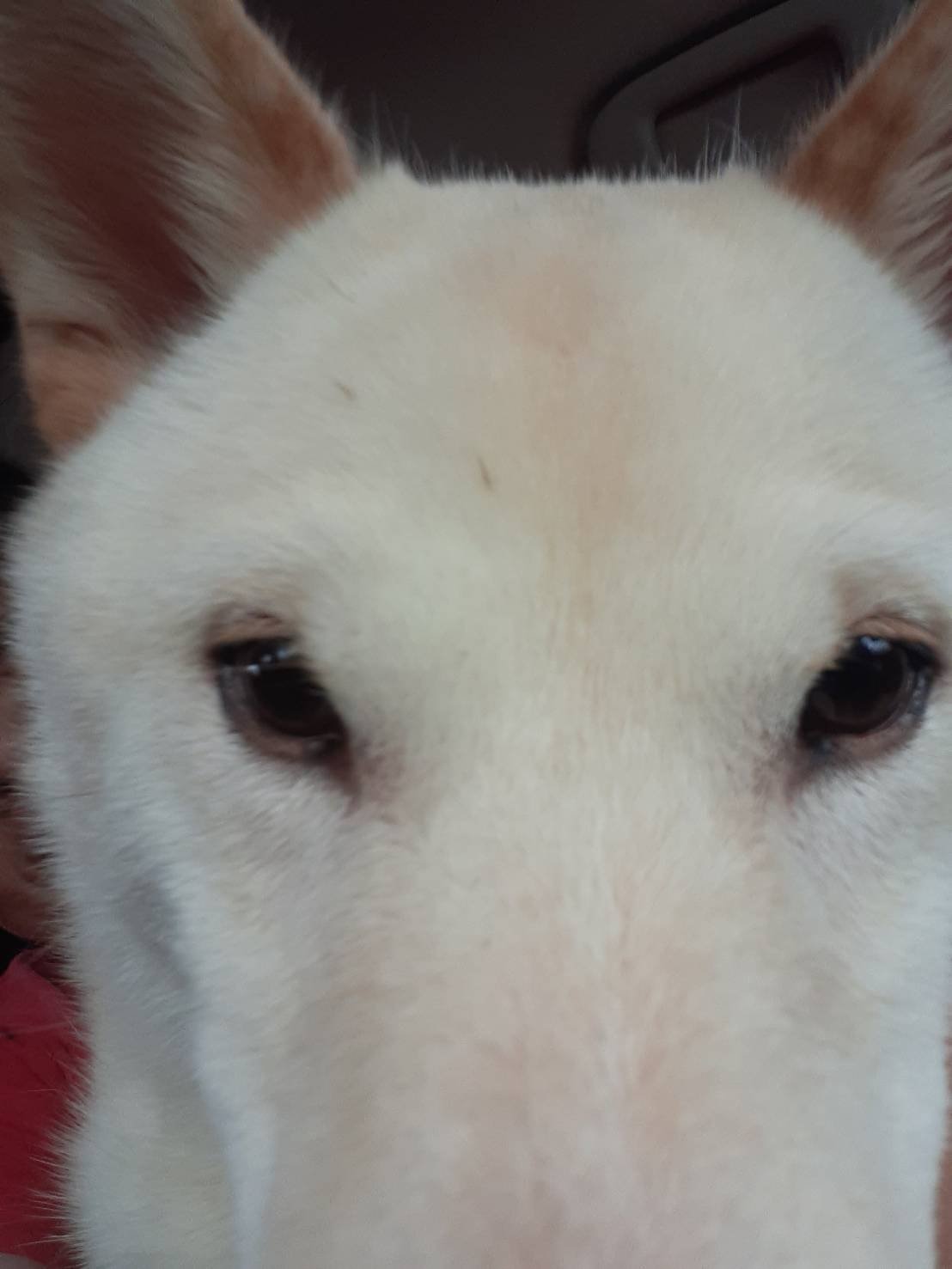 昨日は寒かったね。