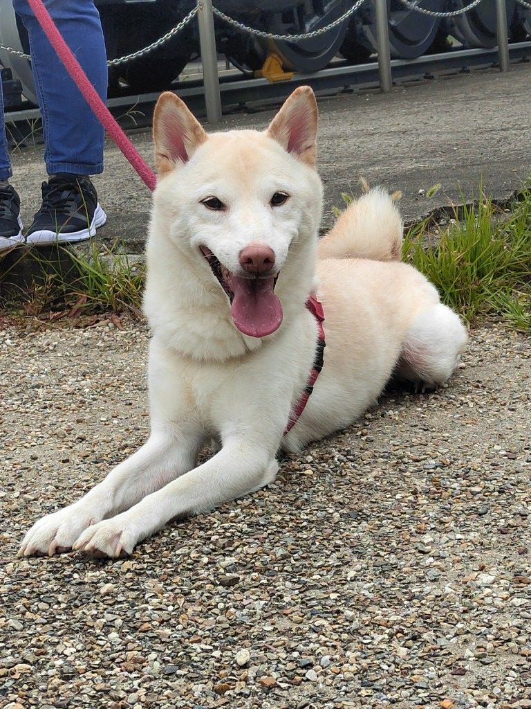 秋の訪れを感じてます。