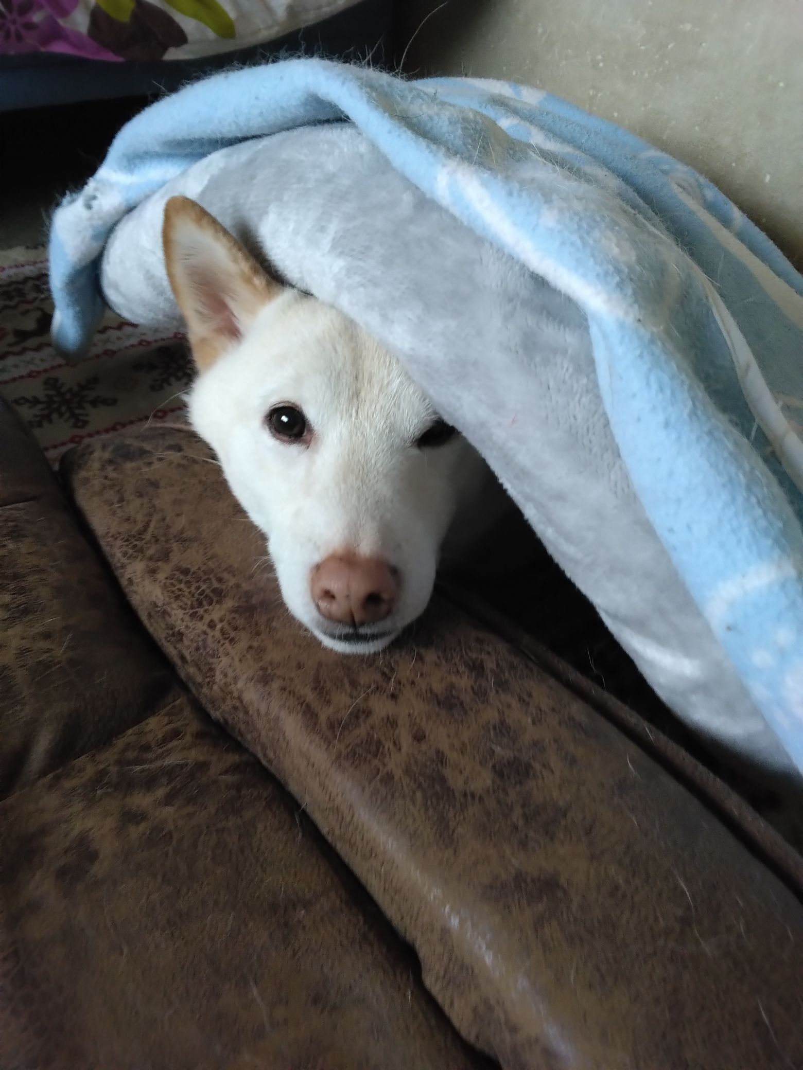 ５連勤は疲れる。